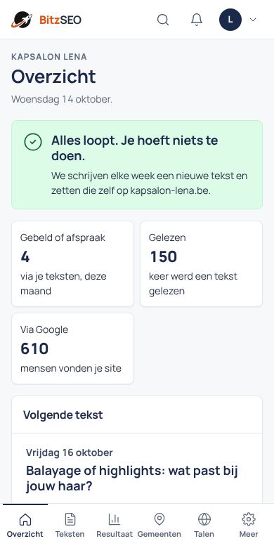 Voorbeeld van het overzicht van BitzSEO op een telefoon